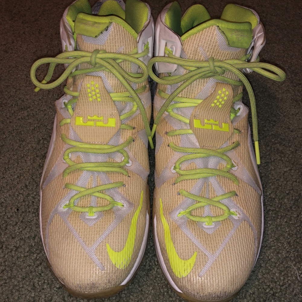 Nike Lebron basketball shoes